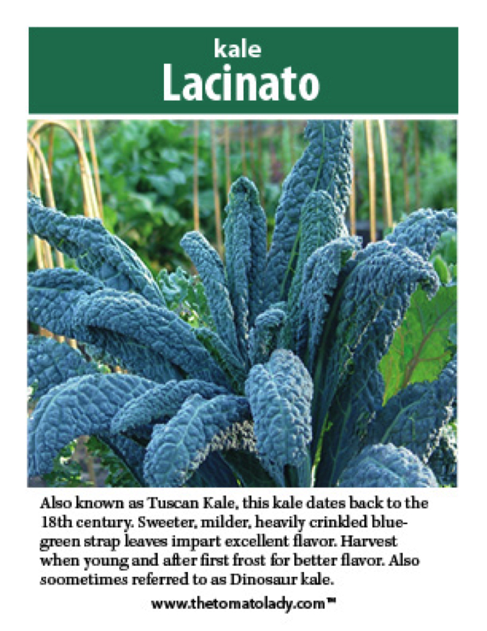 kale lacinato